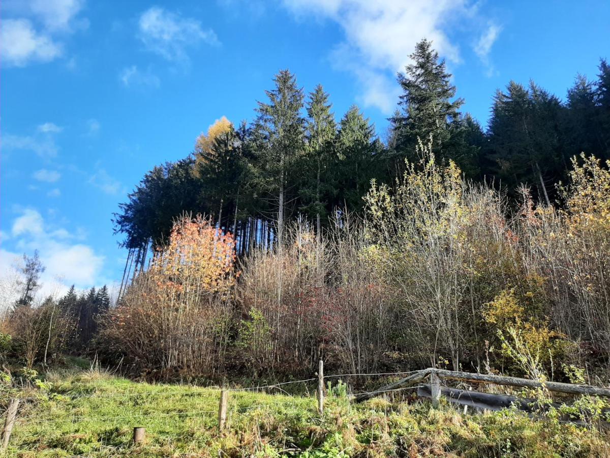 Landhaus Gschmeidler Selzthal Bagian luar foto
